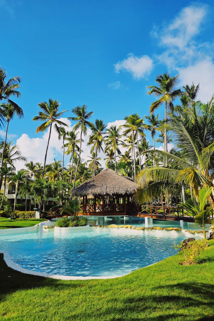 Free stock photo of beach, palm trees, punta cana